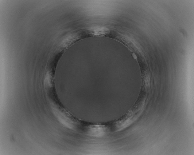 X0000111520316200907141513