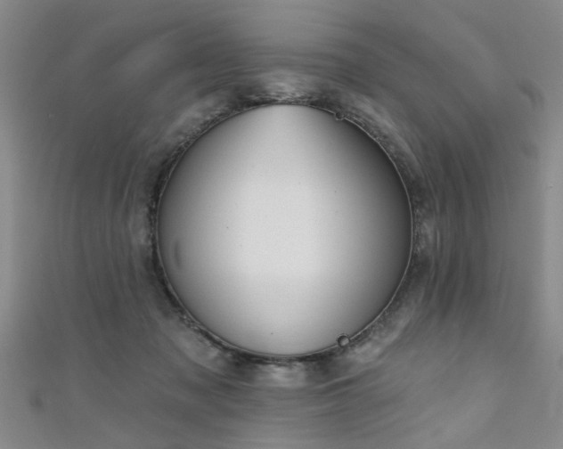 X0000111520317200907141513