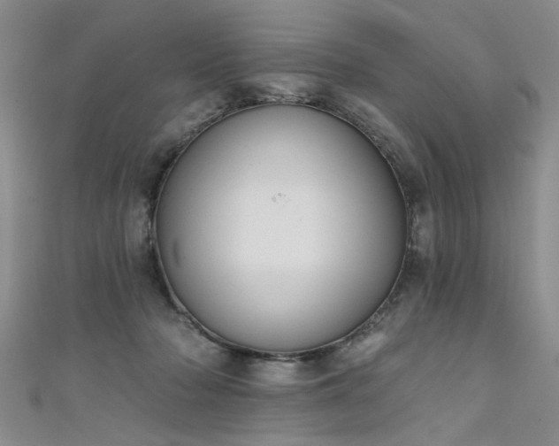 X0000111520318200907141513