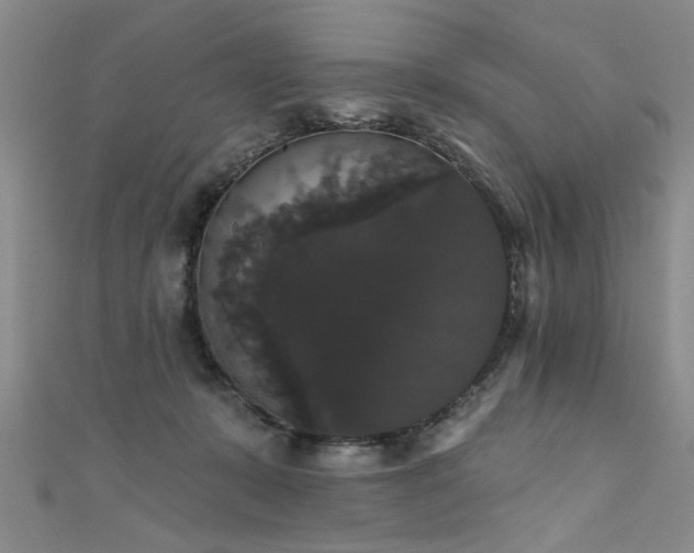 X0000111520319200907141513