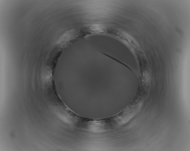 X0000111520320200907141513