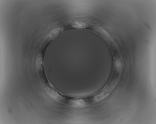 X0000111520322200907141513