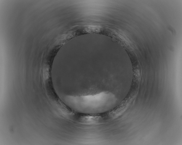 X0000111520323200907141513