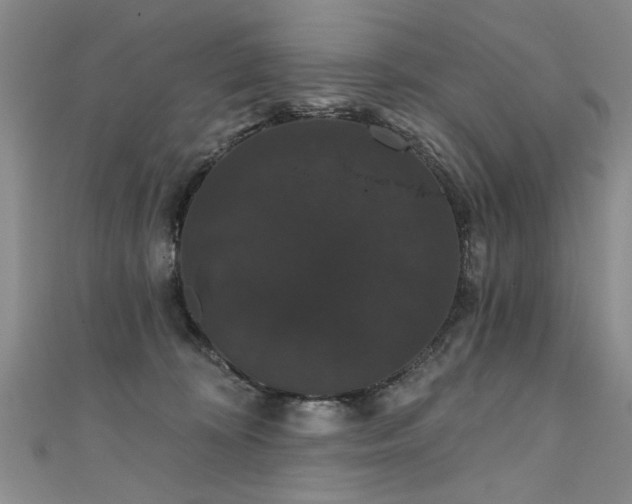 X0000111520324200907141513