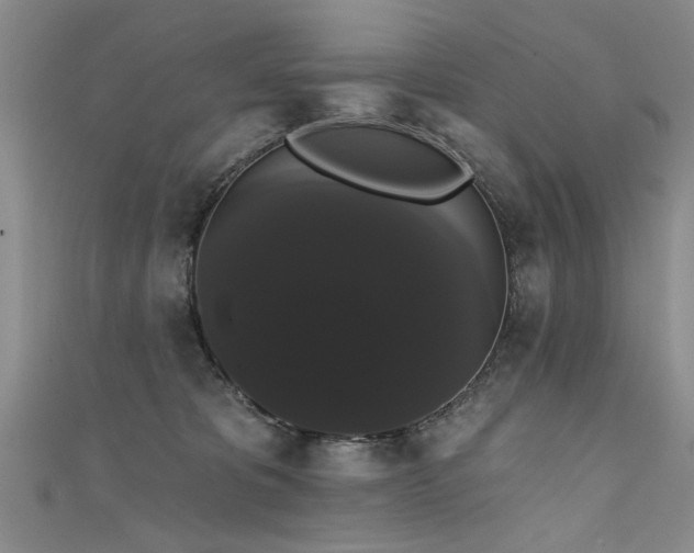 X0000111520325200907141513