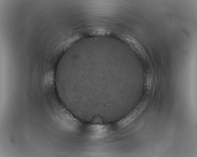 X0000111520326200907141513
