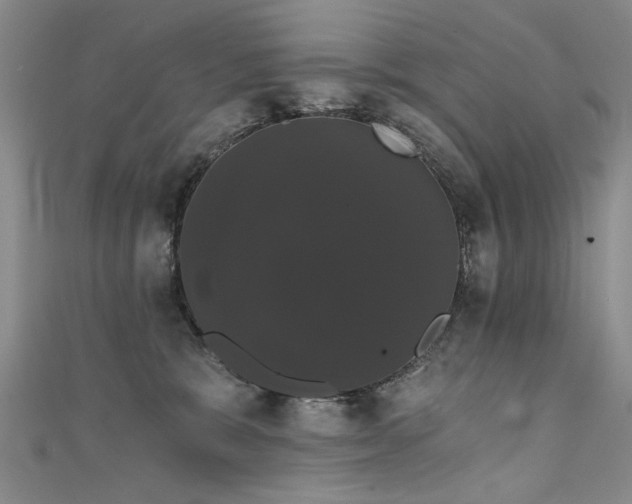 X0000111520327200907141513