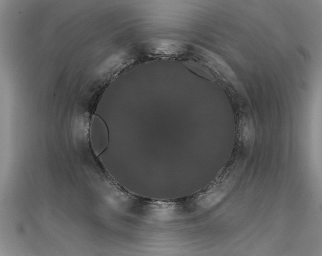 X0000111520328200907141513