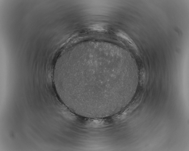 X0000111520329200907141513