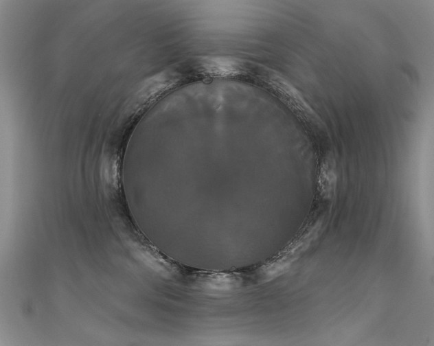 X0000111520330200907141513