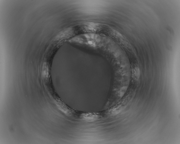 X0000111520331200907141513