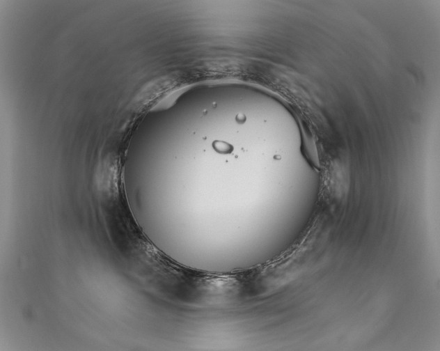 X0000111520333200907141513