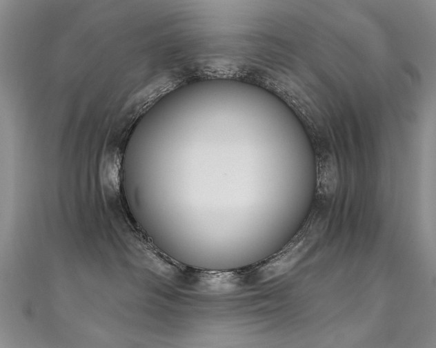 X0000111520334200907141513