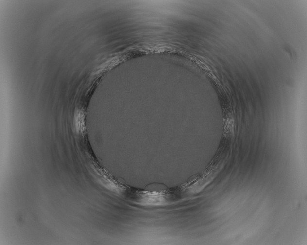 X0000111520335200907141513