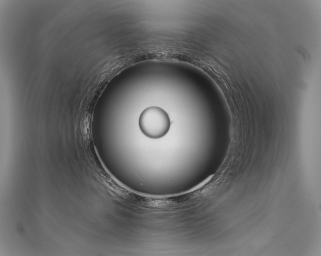 X0000111520336200907141513