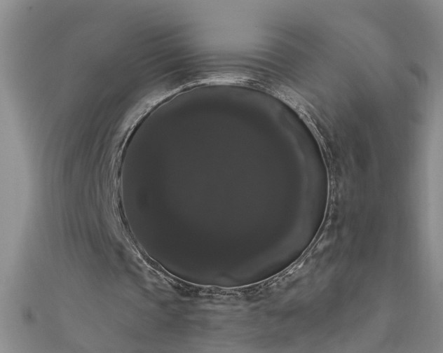 X0000111520337200907141512