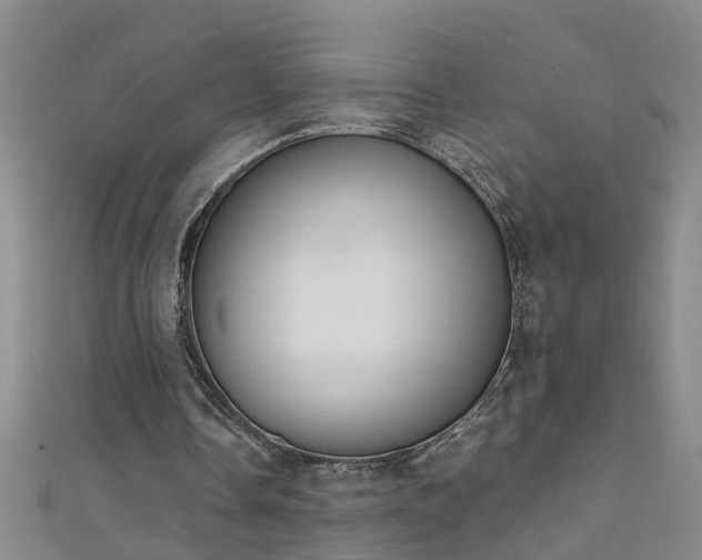 X0000111520338200907141512