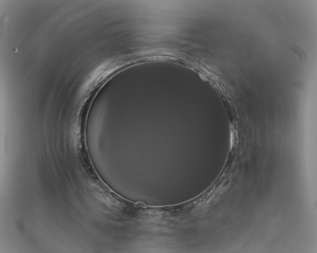 X0000111520339200907141512