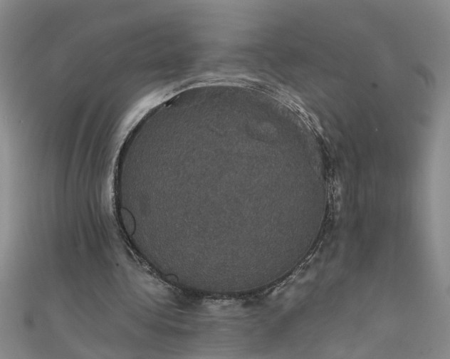 X0000111520340200907141512