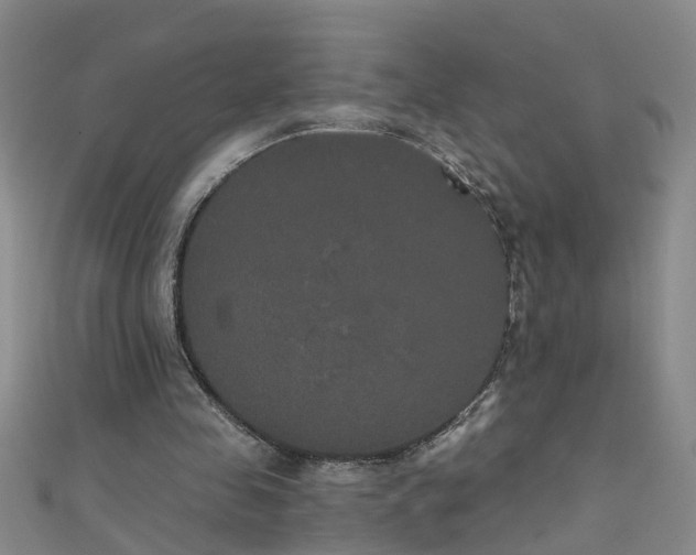 X0000111520341200907141512