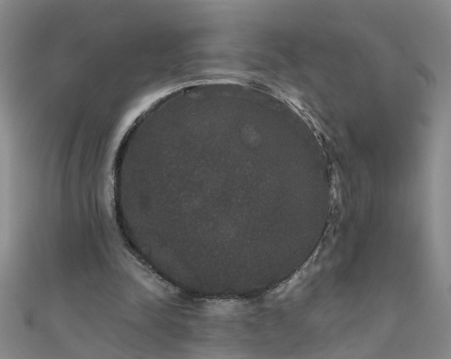 X0000111520342200907141512