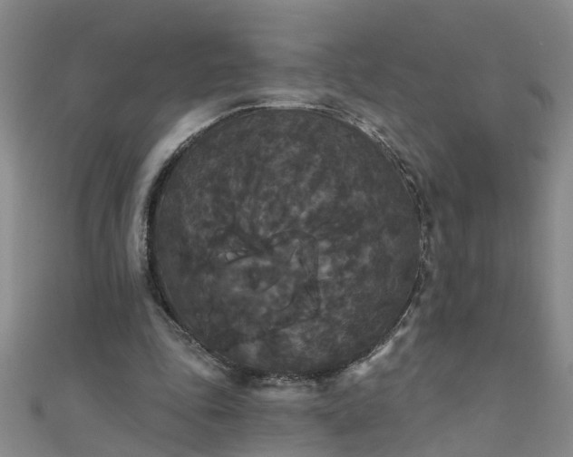 X0000111520343200907141512