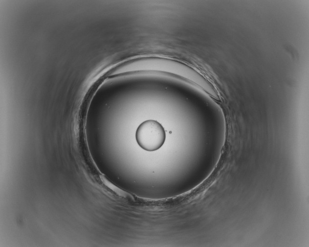 X0000111520344200907141512
