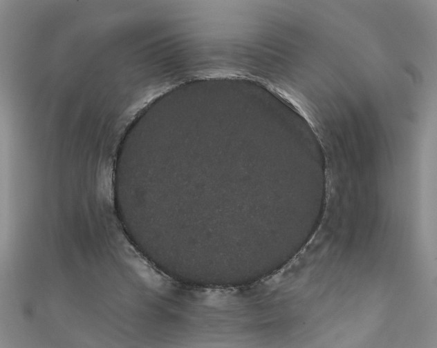 X0000111520345200907141512