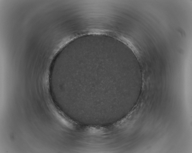 X0000111520346200907141512