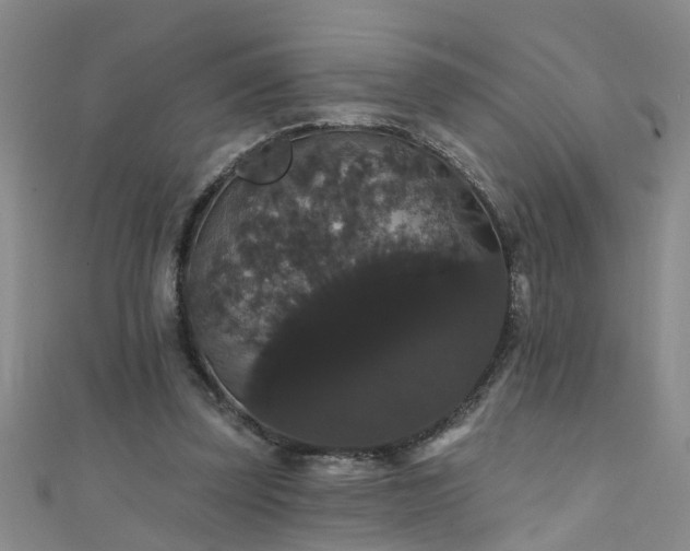 X0000111520347200907141512