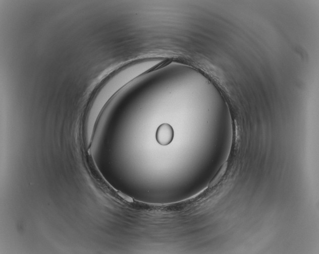X0000111520348200907141512
