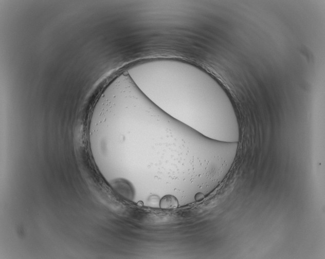 X0000111520351200907141512