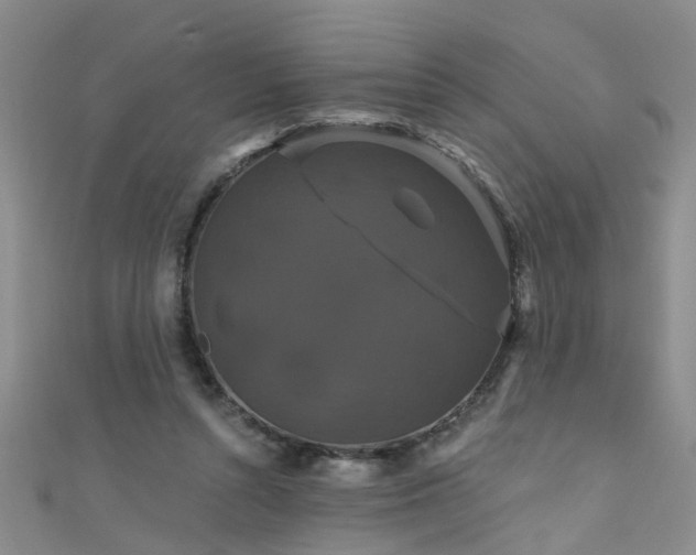 X0000111520352200907141512