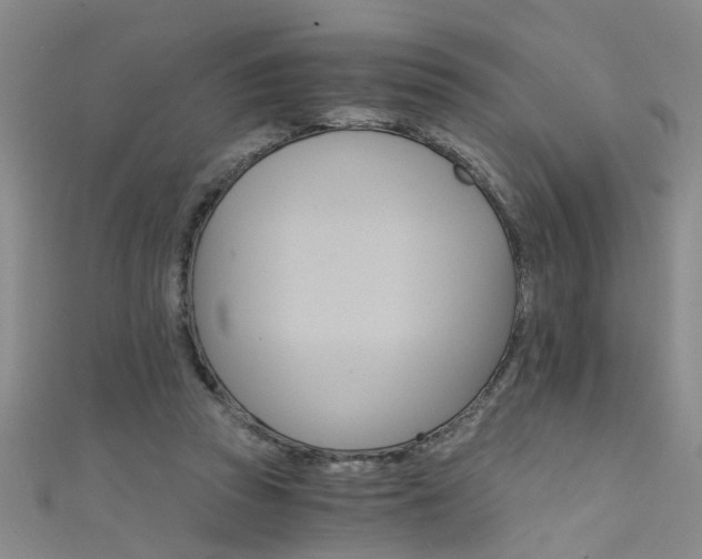 X0000111520353200907141512