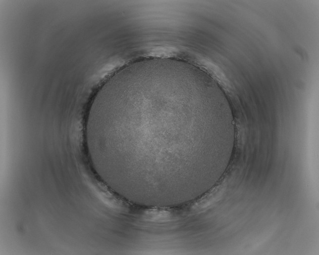 X0000111520354200907141512