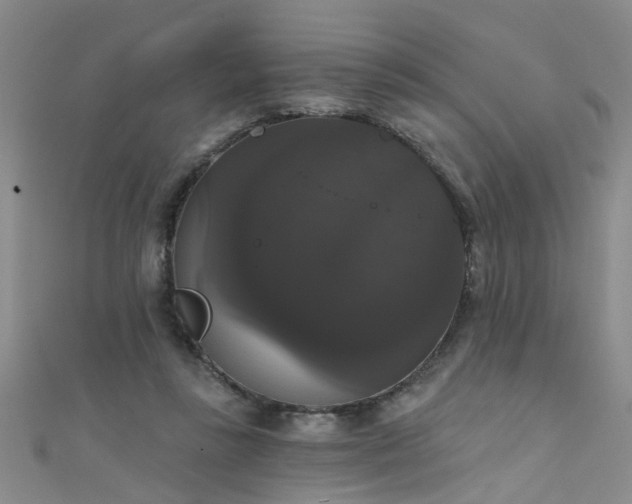 X0000111520355200907141512