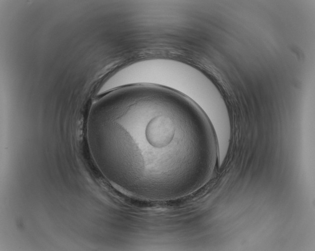 X0000111520356200907141512