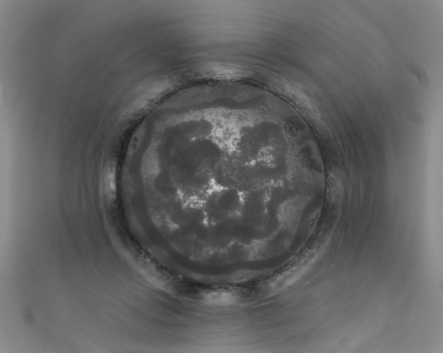 X0000111520358200907141512