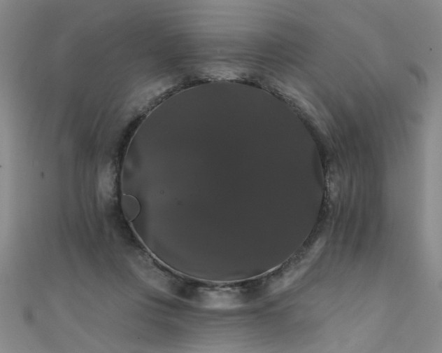 X0000111520359200907141512