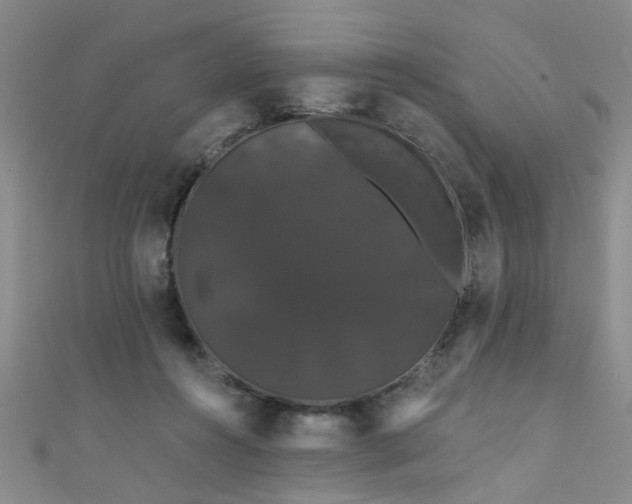 X0000111520360200907141512