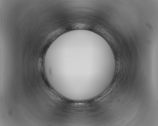 X0000111520361200907141512