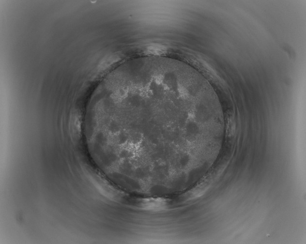 X0000111520363200907141512