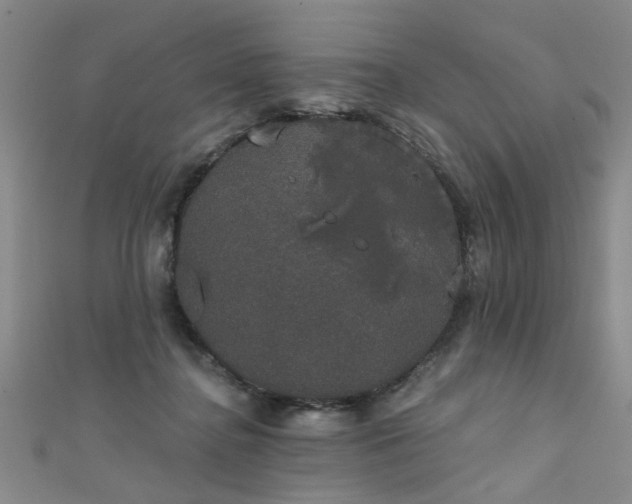 X0000111520364200907141512