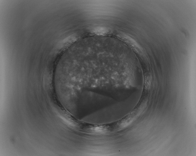 X0000111520365200907141512