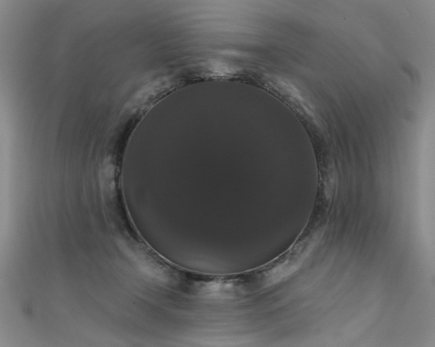 X0000111520366200907141512