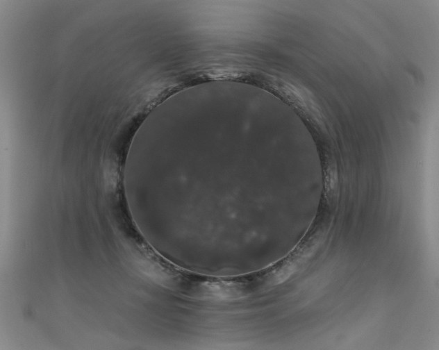 X0000111520367200907141512