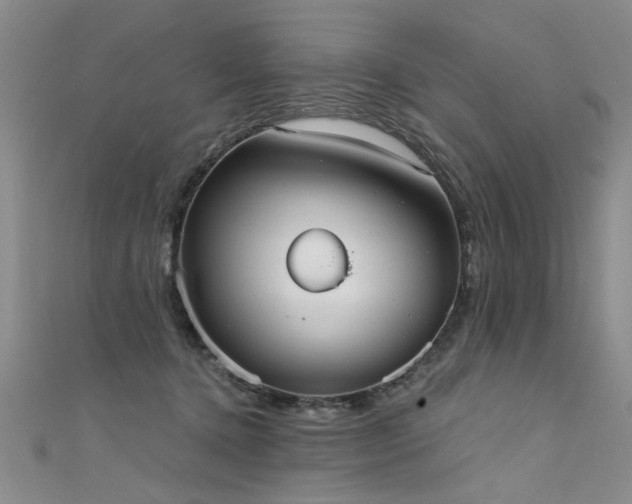 X0000111520368200907141512