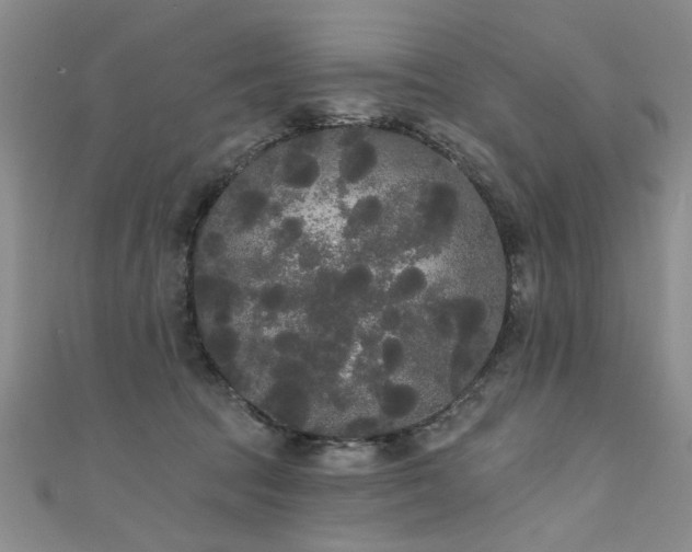 X0000111520369200907141512
