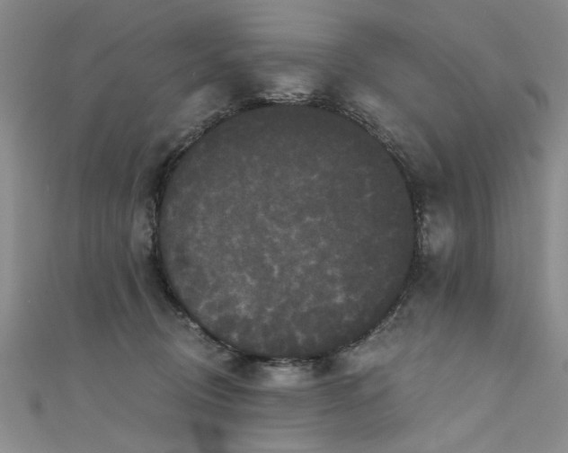 X0000111520370200907141512