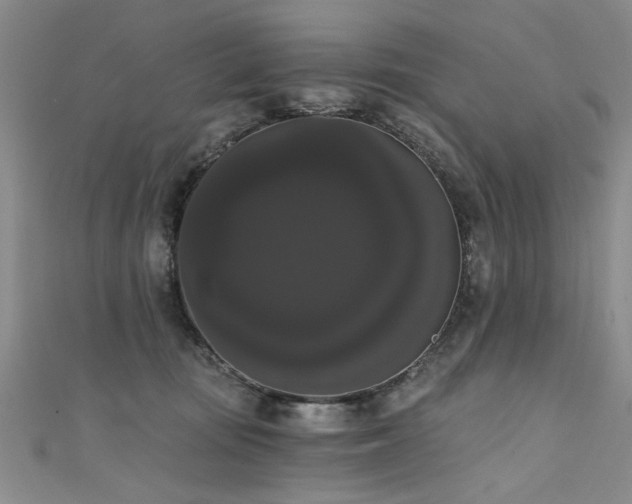 X0000111520371200907141513